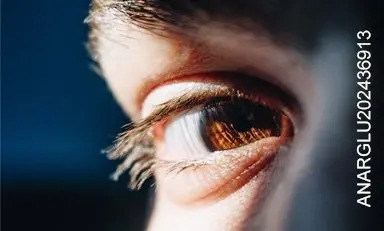 Ojo café bajo los rayos del sol